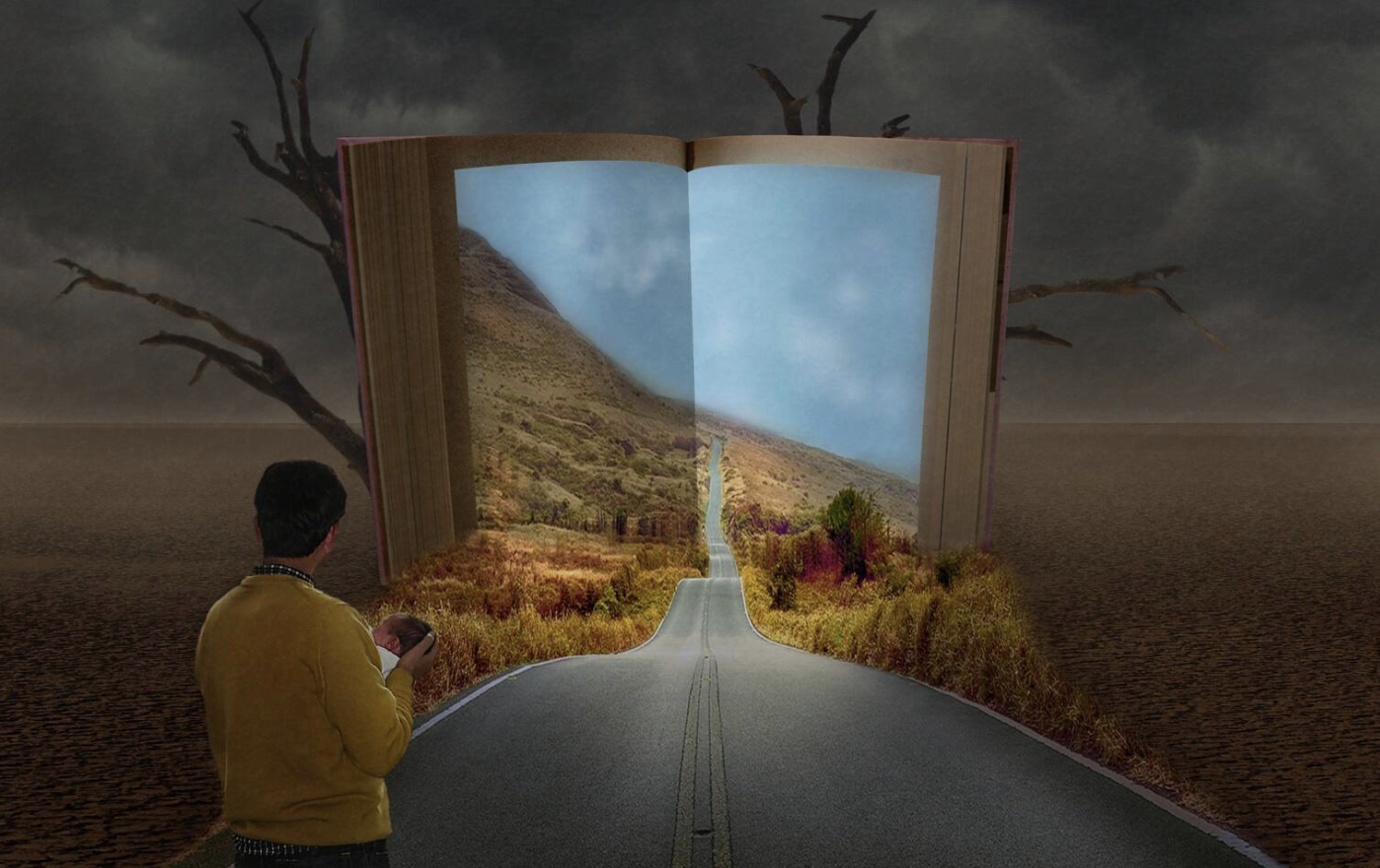 path leading to a garden